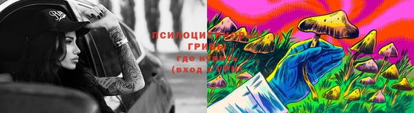 трава Армянск