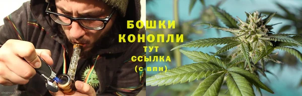 дурь Аркадак