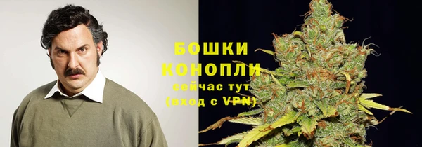 дурь Аркадак